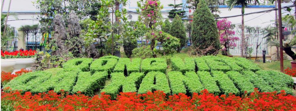 Cảnh quan và hoạt động của CÔNG VIÊN CÂY XANH