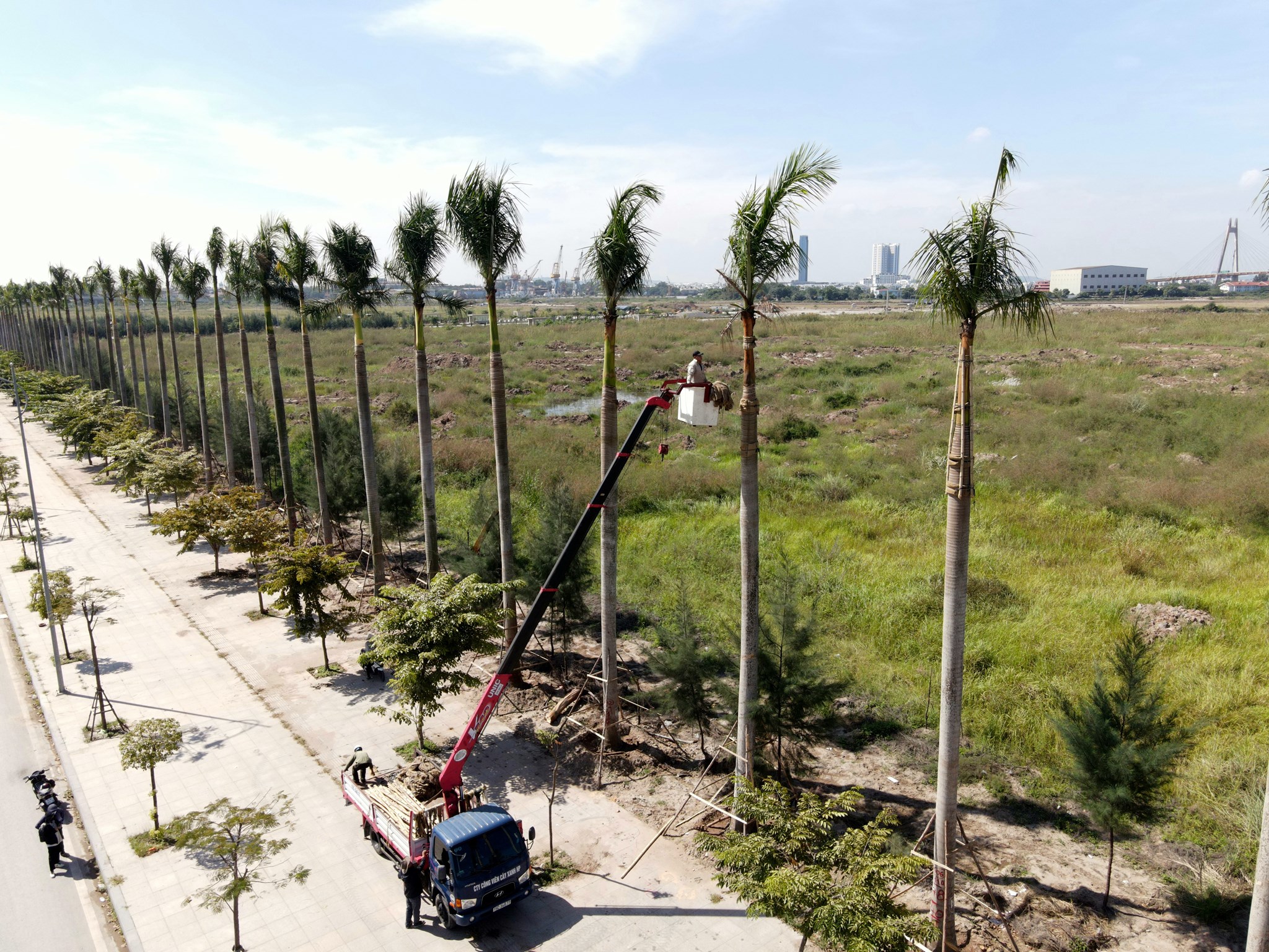 Cải tạo cây xanh tại một số vườn hoa, công viên và tuyến đường bằng nguồn vốn xã hội hóa trên địa bàn thành phố Hải Phòng