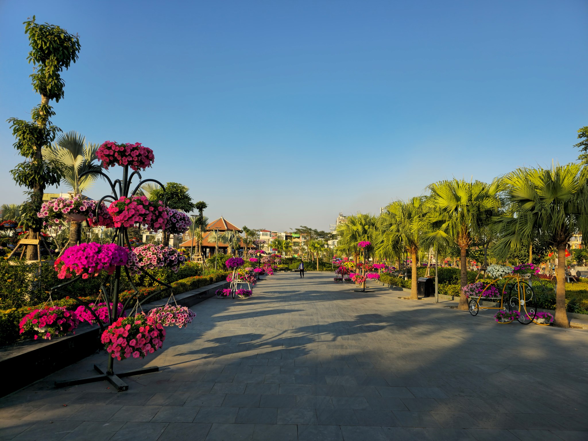 Trang trí Tết 2025